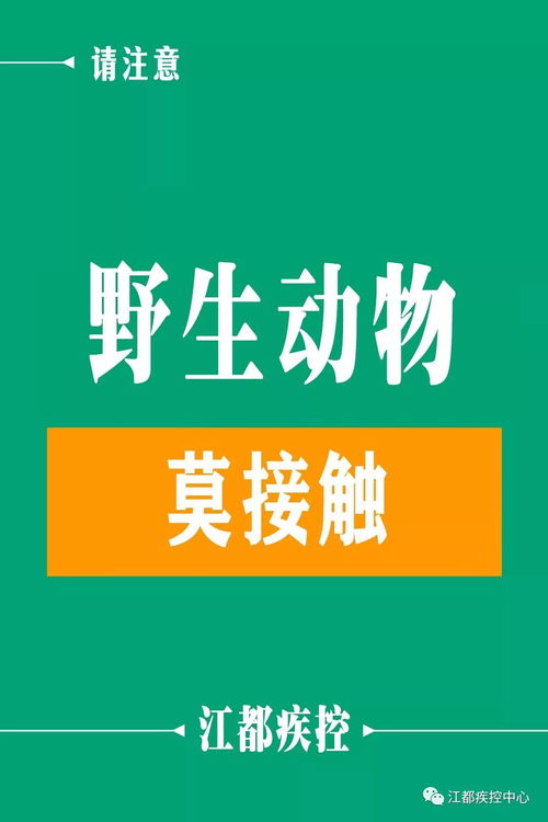 江都疾控新春健康提示 健康過新年，熱線伴您行